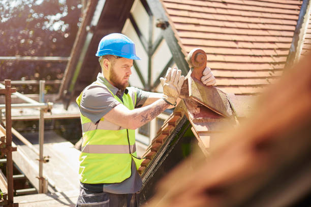 Roof Gutter Cleaning in Ingalls Park, IL